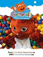 CHAT PERCHÉ
