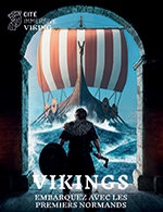 CITE IMMERSIVE VIKING