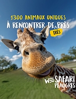 WOW SAFARI PEAUGRES - LIBERTÉ