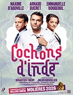 COCHONS D'INDE