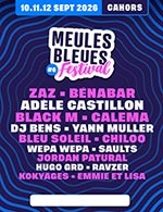 MEULES BLEUES FESTIVAL PASS SAMEDI